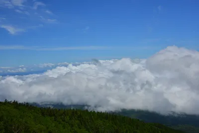 DSC_3610 (Large).JPG